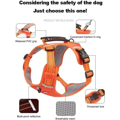 PetTribes Harnais avec poignée de contrôle pour promenade