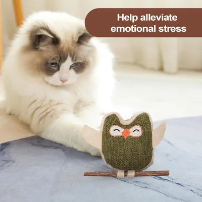 PetTribes Jouet interactif chat