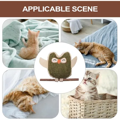 PetTribes Jouet interactif chat