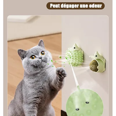PetTribes Jouet Murale 2-en-1 Chat - Lèche & Griffe - Hérisson