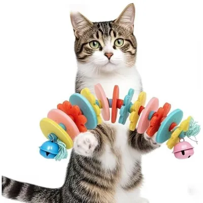 PetTribes 2 juguetes para gatos con resorte