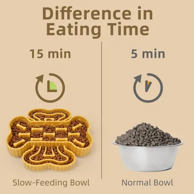 PetTribes Bol Courbe Nourriture Lente pour Animal