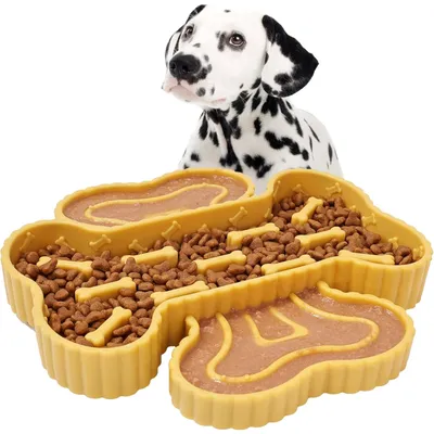 PetTribes Bol Courbe Nourriture Lente pour Animal