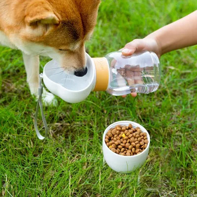 PetTribes Botella 2 en 1 para perros: agua y comida, portátil prueba fugas