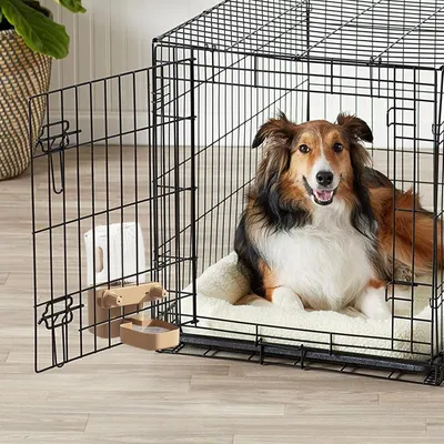 PetTribes Distributeur auto nourriture+eau pour chat/chien