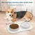 PetTribes Gamelles silicone+inox - Support stable pour animaux