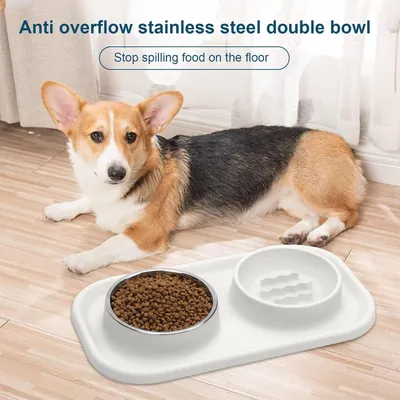 PetTribes Gamelles silicone+inox - Support stable pour animaux