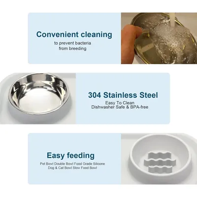 PetTribes Gamelles silicone+inox - Support stable pour animaux