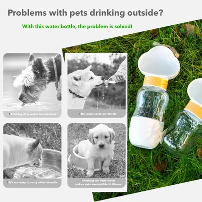 PetTribes Bouteille chien 2en1 - Eau + nourriture, portable & étanche