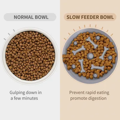 PetTribes Gamelle 2-en-1 pliable pour chien -  (Gris)