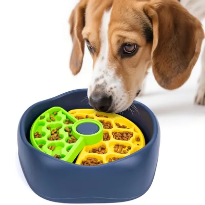 PetTribes Comedero de alimentación lenta para perros/gatos - 3 niveles