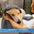 PetTribes Serviette super absorbante pour chat/chien - Doux & portable