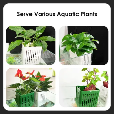 PetTribes Paniers Aquatiques Réglables pour Plantes