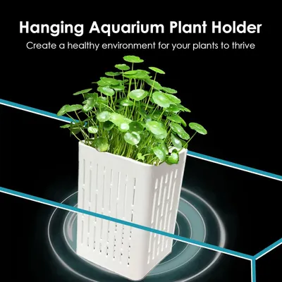 PetTribes Paniers Aquatiques Réglables pour Plantes