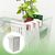 PetTribes Paniers Aquatiques Réglables pour Plantes