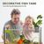 PetTribes Support pour plantes d'aquarium - 2 pièces acrylique transparent
