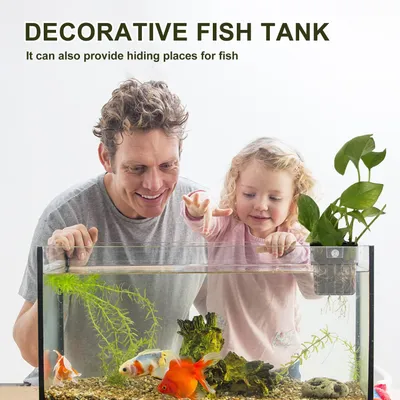 PetTribes Support pour plantes d'aquarium - 2 pièces acrylique transparent