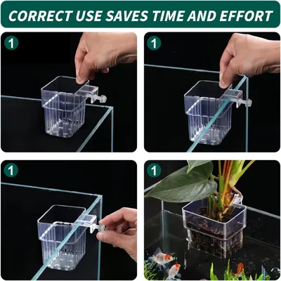 PetTribes Support pour plantes d'aquarium - 2 pièces acrylique transparent