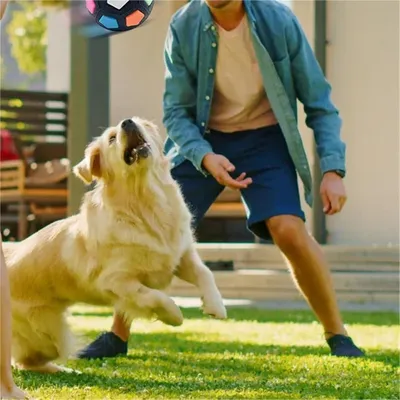 PetTribes Jouet dentaire foot pour chiot - Durable & amusant