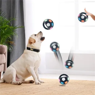 PetTribes Jouet dentaire foot pour chiot - Durable & amusant