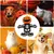 PetTribes Jouet chien Halloween - Citrouille & squelette couineurs, solide