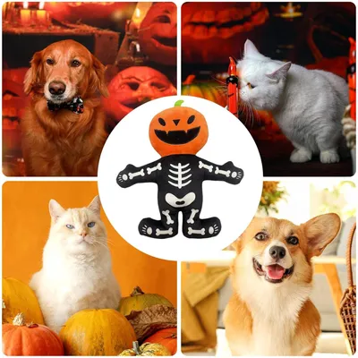 PetTribes Jouet chien Halloween - Citrouille & squelette couineurs, solide