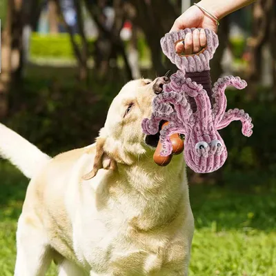 PetTribes Jouet d'Intelligence Silencieux à Anneaux Colorés