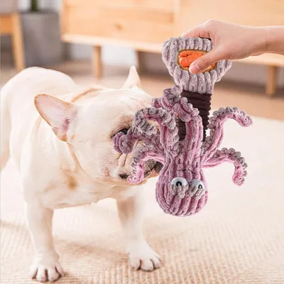 PetTribes Jouet d'Intelligence Silencieux à Anneaux Colorés