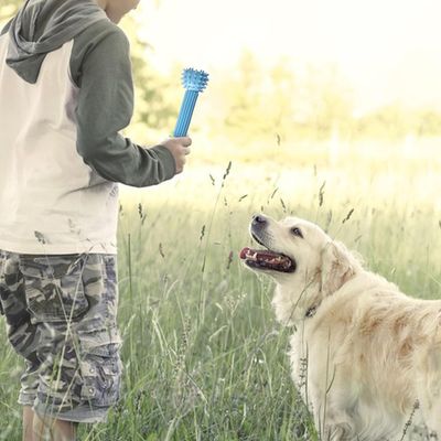PetTribes Jouet à Mâcher Interactif et Résistant