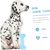 PetTribes Jouet à mâcher pour chien agressif - Stimule instinct chasse