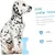 PetTribes Jouet à mâcher pour chien agressif - Stimule instinct chasse