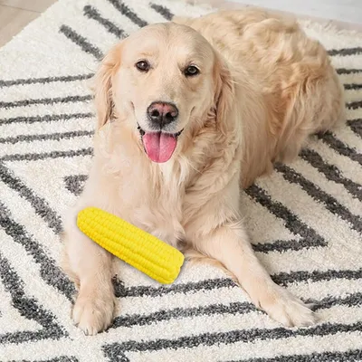 PetTribes Jouet Maïs pour Chien - Nettoyant Dentaire & Son Amusant