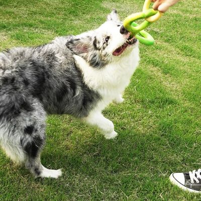 PetTribes Jouet Dur Anti-Anxiété pour Chien