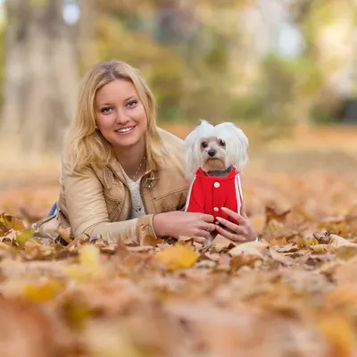 PetTribes Veste Chaude Capuche pour Petit Chien
