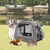 PetTribes Sac transport pets 35x25x23cm - Oiseaux, rongeurs, portable