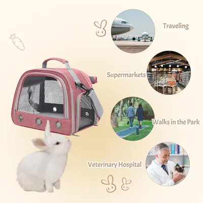 PetTribes Sac transport pets 35x25x24cm - Oiseaux, rongeurs, portable