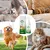 PetTribes Spray désodorisant chien - Élimine odeurs tapis- 300ml