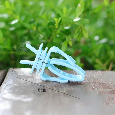 PetTribes Distributeur fruits pour perroquet