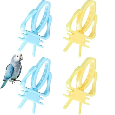 PetTribes Distributeur fruits pour perroquet