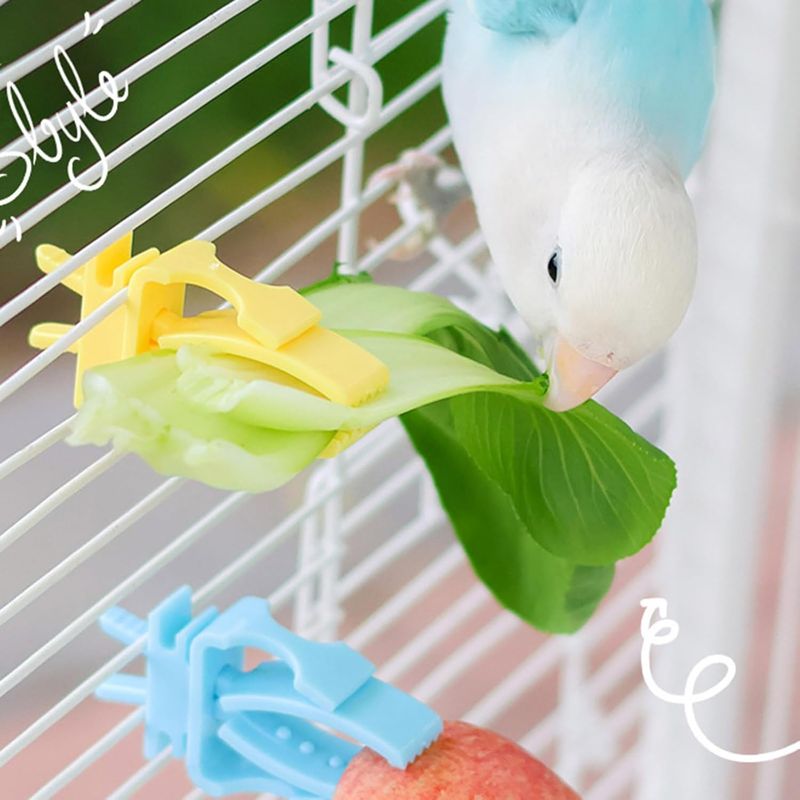 PetTribes Distributeur fruits pour perroquet