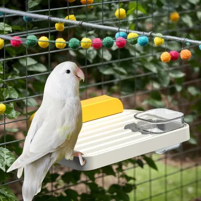 PetTribes Mangeoire Suspendue et Aire de Jeux pour Oiseaux et Petits