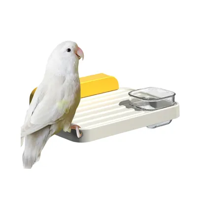 PetTribes Mangeoire Suspendue et Aire de Jeux pour Oiseaux et Petits