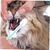 PetTribes Lot de 3 Brosses à Dents Souples pour Chat et Chien - Silicone