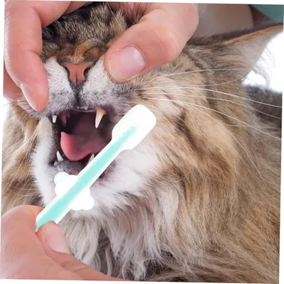 PetTribes Lot de 3 Brosses à Dents Souples pour Chat et Chien - Silicone