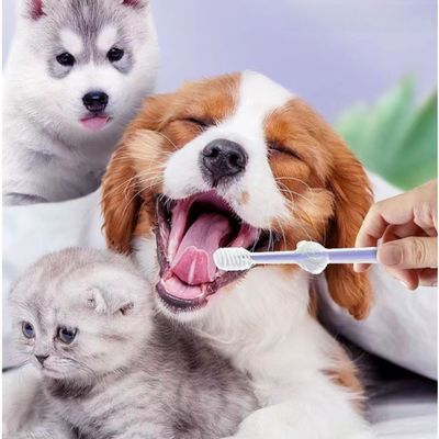 PetTribes Lot de 3 Brosses à Dents Souples pour Chat et Chien - Silicone