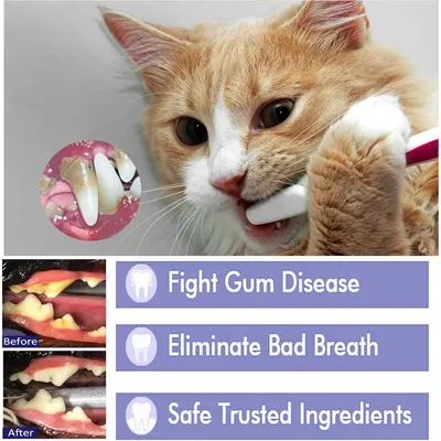 PetTribes Spray Dentaire Anti-Plaque pour Chien et Chat