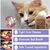 PetTribes Spray Dentaire Anti-Plaque pour Chien et Chat
