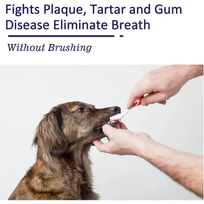 PetTribes Spray Dentaire Anti-Plaque pour Chien et Chat