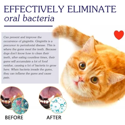 PetTribes Spray Dentaire Anti-Plaque pour Chien et Chat