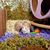 PetTribes Abri Naturel en Noix de Coco pour Reptiles et Crabes - Terrarium